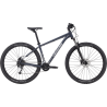 CANNONDALE TRAIL 6 29 XL GRIS