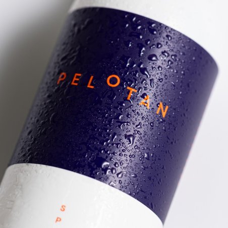 SPRAY SOLAR PELOTAN 100ml