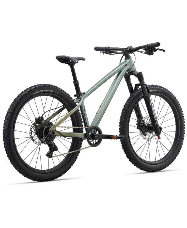 LIV STP 24 VERDE ALPINE 2