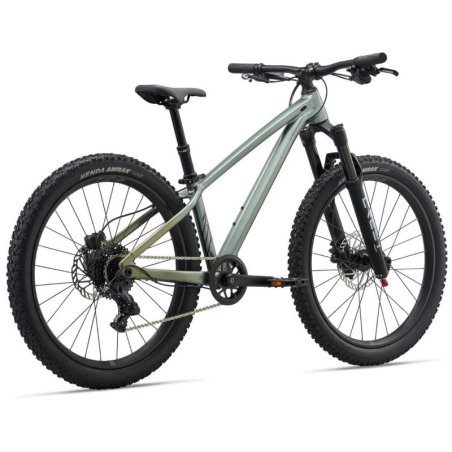 LIV STP 24 VERDE ALPINE