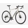 TREK DOMANE AL 2 GEN 4 52 SUPERNOVA