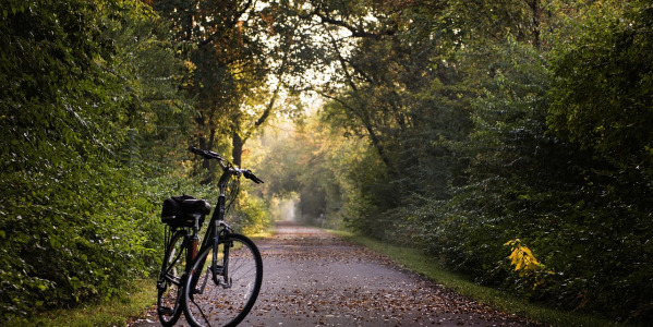 Las mejores rutas para ciclistas 2024 en Valencia